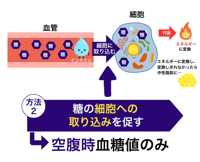 方法② 糖の細胞への取り組みを促す→「空腹時血糖値」のみ
